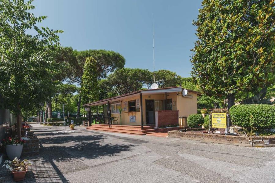 Camping Apuano, Massa