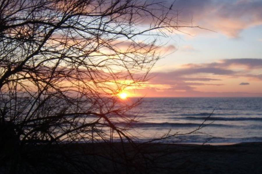 Camping  Bocche d'Albegna, Orbetello