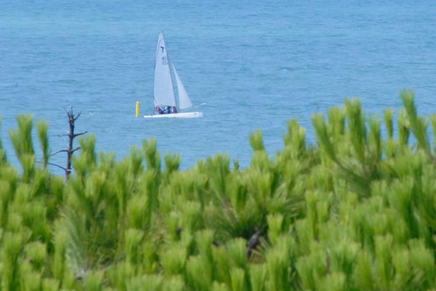 Camping Rosmarina, Grosseto