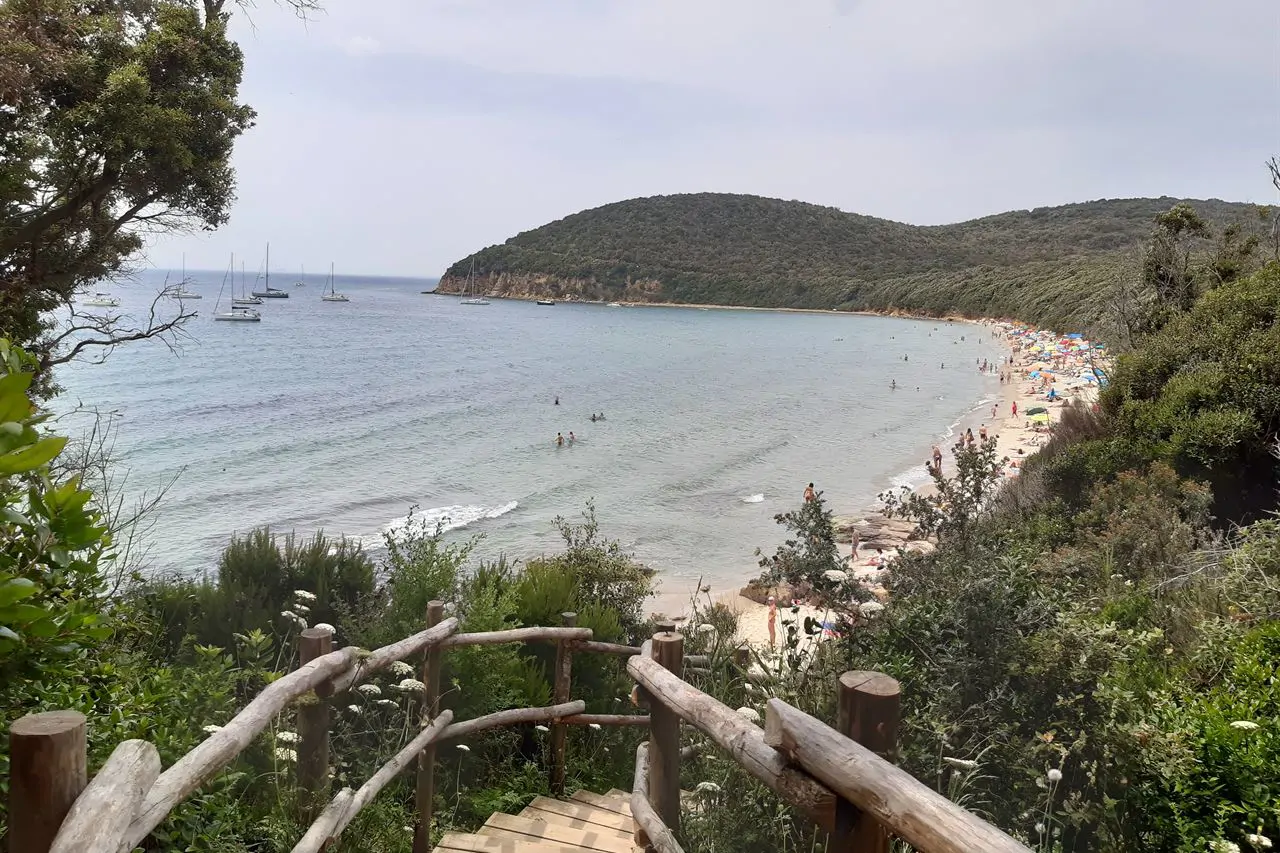 Cala Violina, dans le golfe de Follonica : le sable siffle sous les pieds